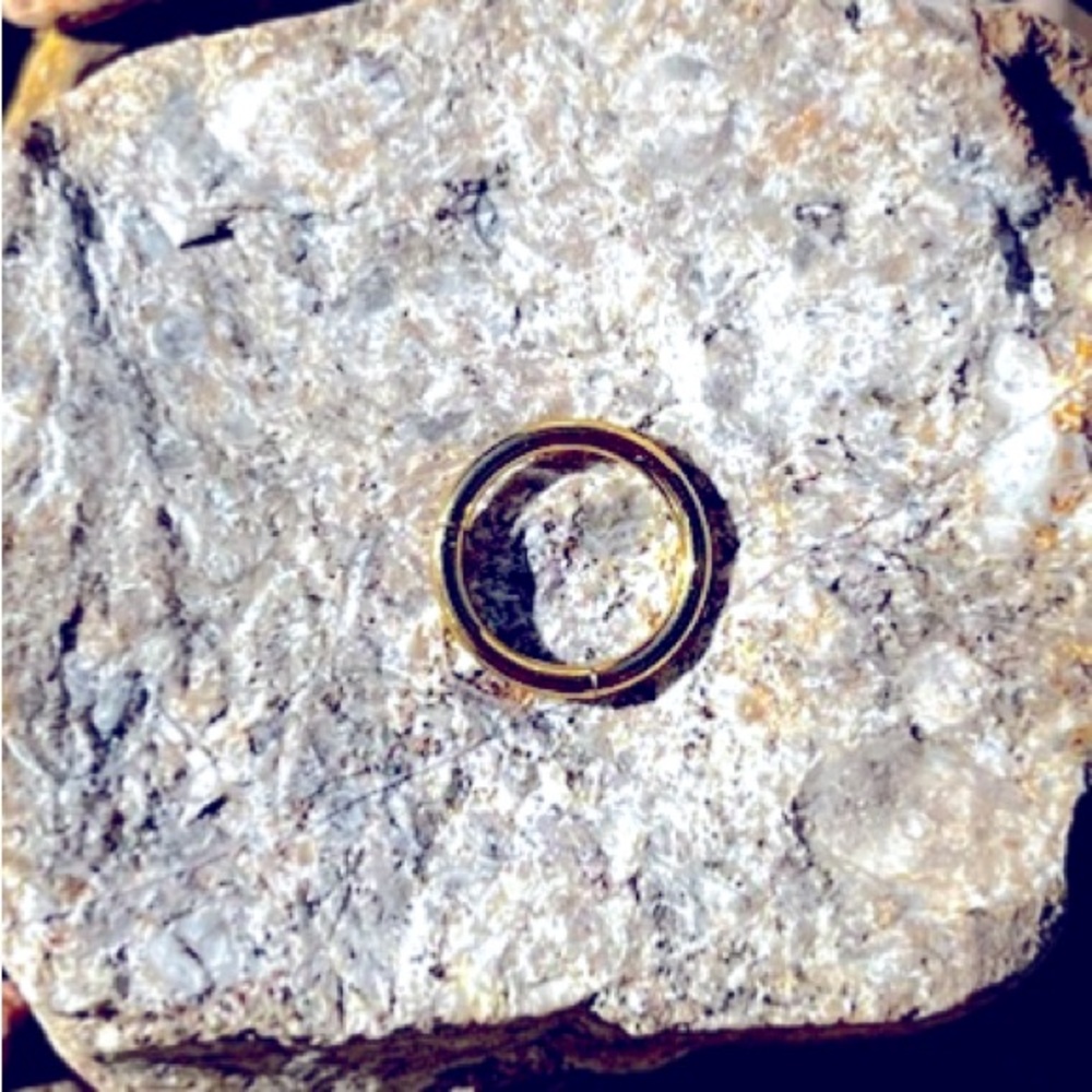 18 Gauge Titanium Hinged Clicker Hoop